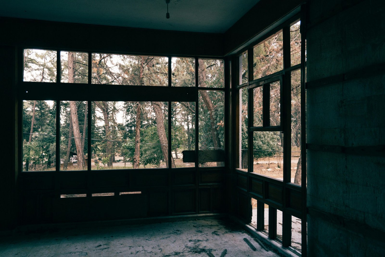 pexels-helen-alp-46790226-12615186