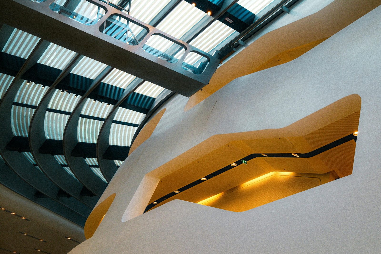 pexels-loaldesign-31735039