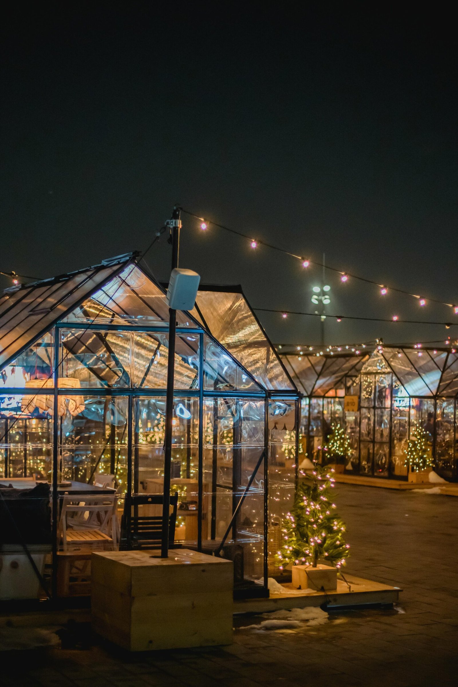 pexels-uriel-mont-6315304